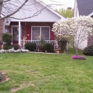 Meet your Posher, Joann